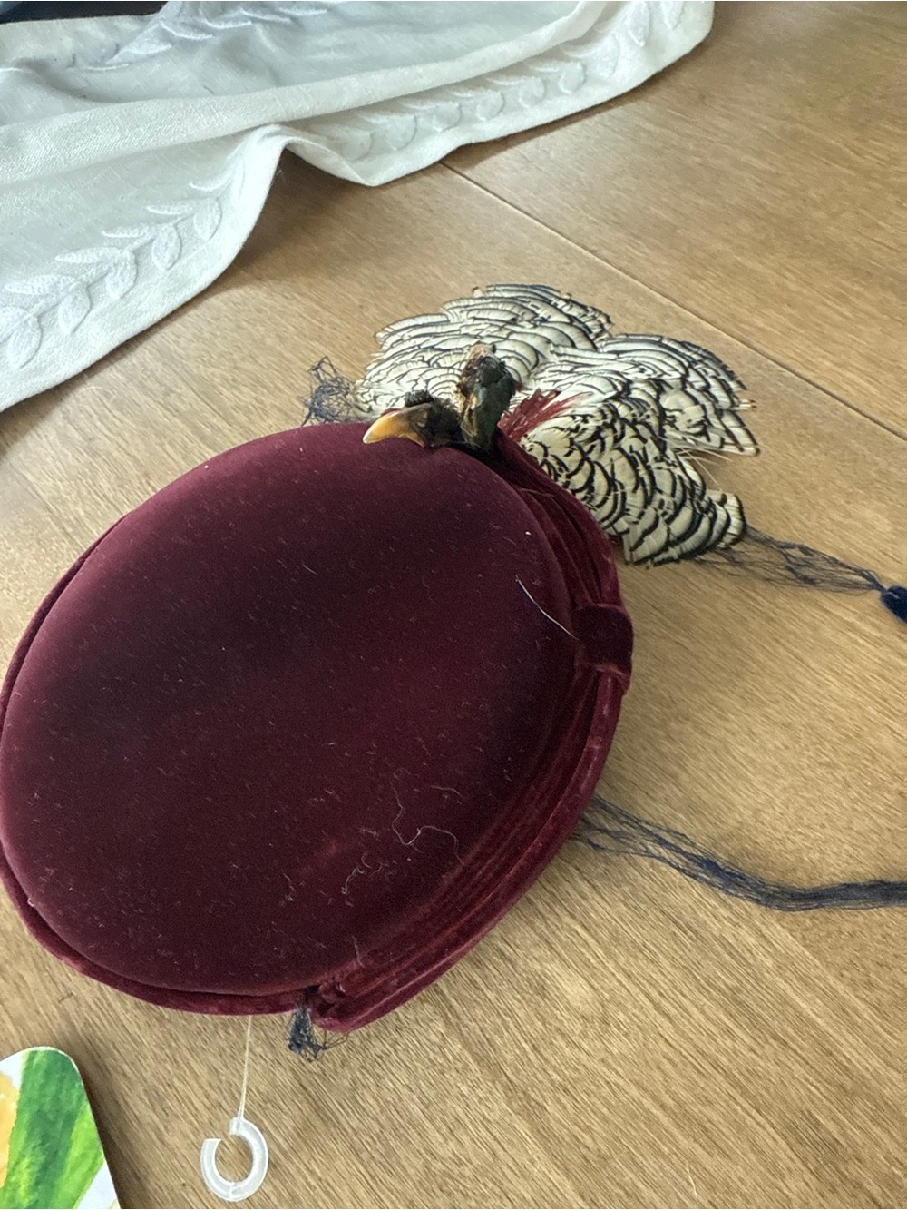 Vintage Edwardian style velvet Taxidermy Bird Hat Lady Amherst Pheasant Plume